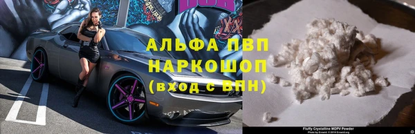 трава Аркадак