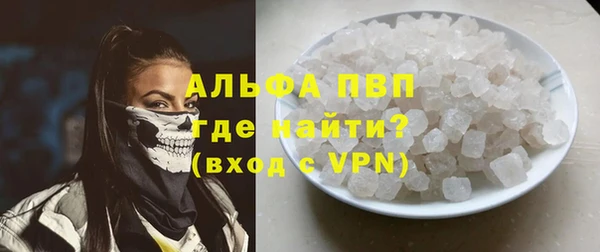 трава Аркадак