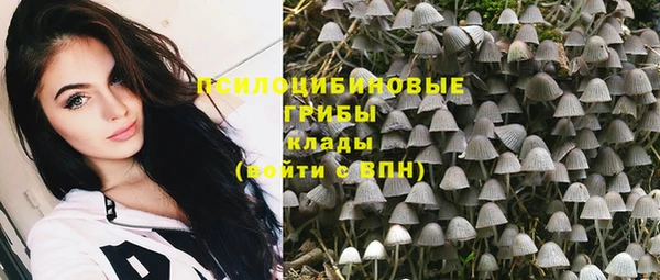 дживик Армянск
