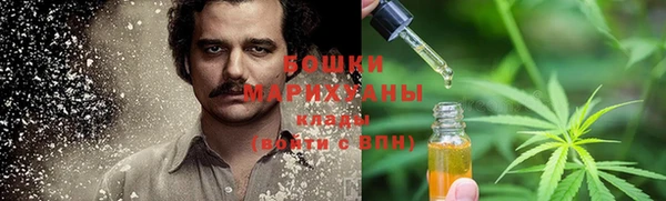 гидра Алексин