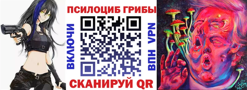 omg как зайти  Нарьян-Мар  Галлюциногенные грибы прущие грибы  купить  цена 